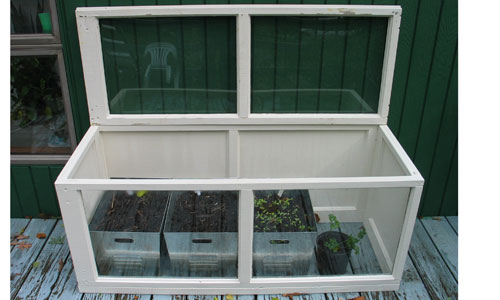 smallgreenhouseopeno